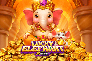 Lucky Elephant X-Huge
